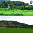 그린필드 컨트리클럽 이미지