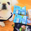 펫 앤 휴(PET AND HUMAN) | K-pet 케이펫페어 부산을 가다. 다녀온 후기! 제2탄 구매떼샷편