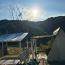 별빛 | 대전 근교 글램핑 조용한 힐링 숙소 추천 ‘별빛스테이’ | 치즈냥도 있어요