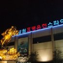 부강온천 Daum카페
