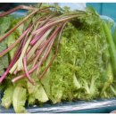 강인원 농장 이미지