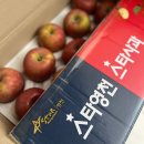 신선청과 이미지