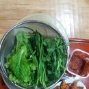 송송농원