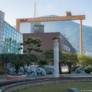 2025 거제 수국 명소 거제도 가볼만한곳, 실시간 개화 현황 후기 이미지