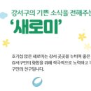 새로미 이미지