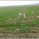 섬마을농원 이미지