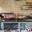 소렐(Sorrel) 이미지