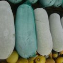 샘밭 농장 이미지