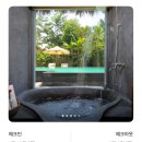비앤비팜