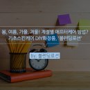 란 피부관리