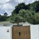 거제도스테이와녹 이미지