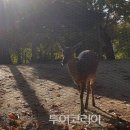 도화지 이미지