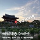 테마(야경 4~10월) | 세종수목원 야경 투어, 한밤의 힐링 산책 가이드