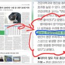 탈모 내일신문 기사 이미지