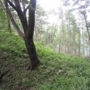 장평목장 이미지