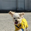 스며들397펜션 이미지