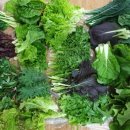 독불장군 이미지