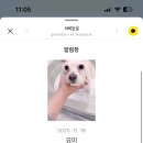 그루밍이즈 이미지