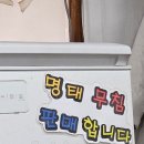 스테이백촌 | 강원도 고성 백촌막국수 웨이팅 꿀팁 | 9시 현장 예약으로 200팀 제치고 먹은 성공 후기