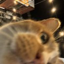 세시부터행복