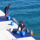 오션어드벤처 이미지