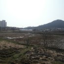 Re: 하계 김상로 선생 묘 옛터 - 우정읍 조암리 이미지