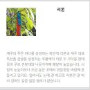 제주올레길 18-1코스, 추자도 하편(2019.4.26)