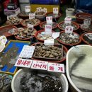 베리팜 펜션 이미지