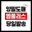 엠플러스유통 이미지