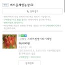 산유통 | 진주 아이랑 갈만한 곳 | 버드골체험농장 딸기체험 후기 (예약방법, 체험비)