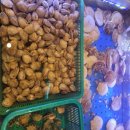 장풍식당 이미지