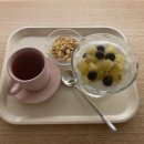 오르에스테틱 이미지