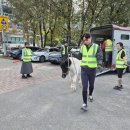 대덕승마장 이미지