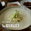 노랑태;담다