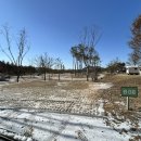 합강캠핑장(프리캠핑존) 이미지