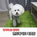 메이드독 이미지