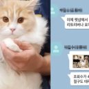 수색목장 이미지
