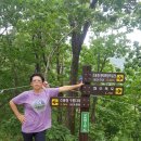 당정골계곡 이미지