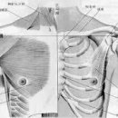 365스마일한의원 이미지