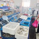 보광수산센터 이미지