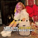 SBS 레져 | (화사한 신학기 코디) 아이브 가을 인스타 속 디스커버리 라이크 에어 블링크 백팩 25