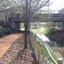 덕충주공아파트(앞) 이미지