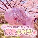 핑크핑쿠 네이버블로그