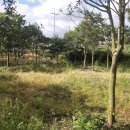 남원읍-17 이미지