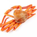 바다슈퍼 이미지