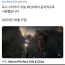 스타크 Daum카페
