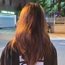 팀플미용실