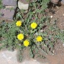 승준농장 이미지