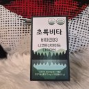 B3 | 초록비타 비타민B3 꾸준한 건강 루틴 시작! 초록비타 비타민B3 솔직 후기