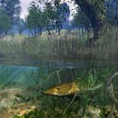 행복한 노후 준비하기 이미지